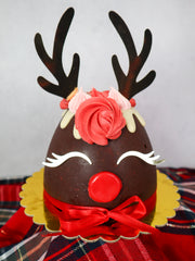 Chocolate Biscuit Cake Rudolph